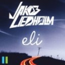 Jakob Liedholm - Ocean