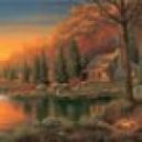 Georgy Om - Somewhere where your heart is