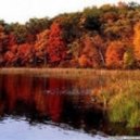 Viperhot - Hundreds Years Of Dream From Me To You