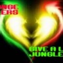 Strange Rollers - Give a Little Jungle Dub ()