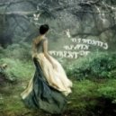 Dj Rostej - Beats of Forest