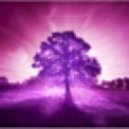 Dj Rostej - Purple sun