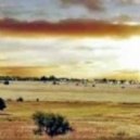 Shadowboxer - Villanelle