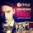 Conor Maynard feat. Wiley - Animal