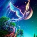 Наталья Халтурина - Сильная птица