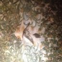 Raffael Francis feat. Unused Word - My life on four pages