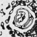 Viwave - Queue For The Future ()