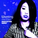 Wanting - Drenched