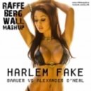 Baauer vs. Alexander O\'Neal - Harlem Fake (Raffe Bergwall Mash-Up)