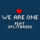 Pegboard Nerds feat. Splitbreed - We Are One (Dion Timmer Remix)