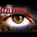 Metric - Empty (SizzleBird Remix)