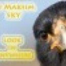 Gotye vs. Mohombi - A wet Way I Used To Know (Dj Maksim Sky Mash Up)