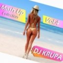 Mike Candys & Carlpri feat. Misha Zam - Brand New Day (DJ Krupa Mashup)