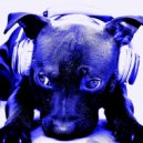 Madsound - NuDeep SpRiNg MiX ()