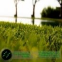 Dreamy - A New Day, A New Sign