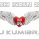 Funkk Frikz vs. Phuture Vibes - One Love (DJ KumIbra Mash-Up)