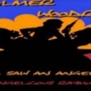 Palmer Woodrow - I saw an Angel