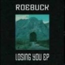 Roebuck - Losing You