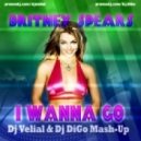 Britney Spears vs. Weekend Vibes & Purple Project - I Wanna Go (Dj Velial & Dj DiGo Mash-Up)