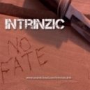 Intrinzic - No fate
