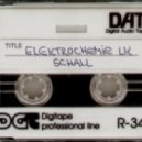 Elektrochemie LK - Shall 2013