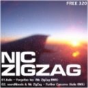 soundNbeats & Nic ZigZag - Further Concerns