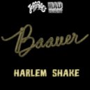 ReleverBreak - Harlem Shake ()