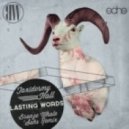 Taxidermy Hall - Lasting Words