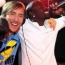David Guetta Ne-Yo Akon - Play Hard