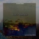 Michael Miller - Mixotic 258 Galactic Technologies