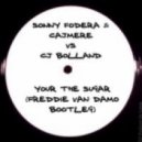 Sonny Fodera & Cajmere vs CJ Bolland - You\'re The Sugar (Freddie Van Damo Bootleg)