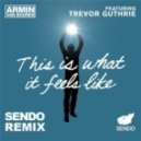 Armin van Buuren feat. Trevor Guthrie - This Is What It Feels Like (SENDO Remix)