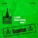 Basement Jaxx vs. Tristan Casara - Where\'s Your Potatoes (DJ Renat Bootleg)