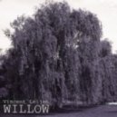 Vincent Leijen - Willow