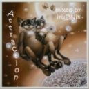 iruDNik - Attraction ()