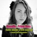 Kamelia & DJ Nejtrino & DJ Stranger - Prima Oara (Vadim Adamov & DJ Kolb Mash Up)