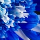 MaTcaL - RetroSpektiva Four