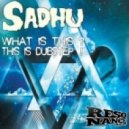 Sadhu - This is Dubstep!