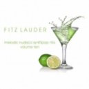 Fitz Lauder - Melodic NuDisco SynthPop Mix Vol. 10 ()
