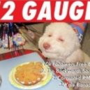 Sadhu & 12Gauge - The Backwards Song ()