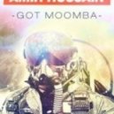 Amir Hussain - Got Moomba ()