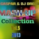 Showtek & Noisecontrollers vs Martin Garrix - Get Loose Animals (Dj Gaspar & Dj Drozdoff Mashup 2013)