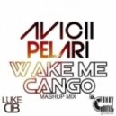 Avicii Vs Pelari - Wake Me Cango