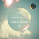 Black - Wonderful Life