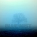 Prime Gold - Blue Mist