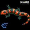 Bio Logic - Out Side