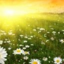 RaKoT - Thank You Summer! ()