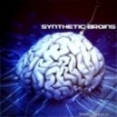 syntetic brains - riston