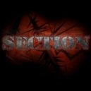 Section - Podcast 003 ()