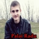 Palai Radu - Finish Summer (Лето будет всегда с нами)